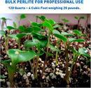 Norcal Perlite Horticultural Perlite Organic Certified Premium Screened Coarse – Garden Indoor Outdoor Plants – Soil Additive Better Aeration and Drainage - 2 Cubic Feet (62 Quarts) 1 Bag by GreenHaven Gardens