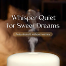 Earnest Living Essential Oil Diffuser White Ceramic Diffuser 100 ml Timers Night Lights and Auto Off Function Home Office Humidifier Aromatherapy Diffusers for Essential Oils by TinyTreasures Baby Boutique