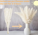 100 PCS Dried Flowers Pampas Grass Bouquet, Boho Table Decor, Bunny Tails Dried Flowers, Brown Pompas, White Pampas Grass for Wedding, Home, Rustic Party, Baby Shower Decorations by CozyNest Decor