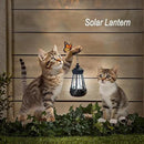Set of 2 Realistic Cats Metal Stakes Solar Lantern Decoration, Cute Cats Stakes with Solar Lantern for Yard, Outdoor Garden Lawn Pathway Patio Ornaments, HDS-1021 by GreenHaven Gardens