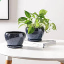 vicrays Ceramic Plant Pots Indoor - 6.5 Inch Planter Pot with Drainage Hole and Saucer for Succulent Orchid Flower Herbs Cactus - Ideal for Gardening Home Desktop Office Decor - Blue by GreenHaven Gardens