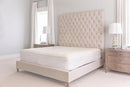 Naturepedic Organic Waterproof Mattress Protector Pad - Washable & Reusable Fitted Stretch Knit Mattress Cover - Highly Absorbent Bed Incontinence Pads - Breathable Fitted Cover for King 9"-16" by TinyTreasures Baby Boutique