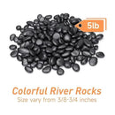 5 lbs Black Pebbles for Indoor Plants, Succulent, Bamboo, Vase, 3/8" Plant Rocks for Pots Indoor, Small River Rocks Decorative Pea Gravel, Highly Polished by GreenHaven Gardens