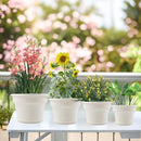 11 Inch Plastic-Flower-Pot-for-Indoor-Plants, 4 Pack Large Outdoor Planter Pot with Drainage Holes & Saucers, Resin Decorative Garden Pots Planters by CozyNest Decor