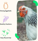 Grubblies - Switch from World Harvest to Hometown Harvest for Premium Chicken Nutrition - Grubblies World Harvest 5LB by GreenHaven Gardens