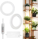 LORDEM 6.3” Ceiling Grow Light for Indoor Plants, 144 LEDs Full Spectrum Halo Grow Lamp, Under Cabinet Plant Lamp with 4/8/12H Auto Timer, 4 Dimmable Brightness Levels, Ideal for Pot Plants, Dual Head by GreenHaven Gardens