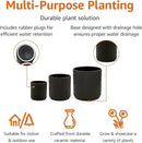 Amazon Basics Assorted Sizes Fluted Ceramic Round Planters, Set of 3, Black, 6-Inch, 8-Inch, 10-Inch by GreenHaven Gardens
