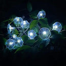 Solar Flowers Outdoor Waterproof - Petunia Blue Morning Glory Flowers&Solar Moth Orchid String Lights 12.5ft 10 LED Phalaenopsis Flower Solar Fairy Lights by GreenHaven Gardens