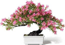 Fake Plants Plastic Artificial Bonsai Tree, Pink Room Decor Bonsai Tree for Home Bedroom Farmhouse Office Desk Decor, Tall 9.5" by GreenHaven Gardens