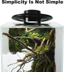 Desktop Glass Plant Terrarium with Grow Light(L7.8 W7.8 H14), for Succulent, Moss, Miniature Gardening Landscape, Betta Fish Tank, Indoor Plant Growth, Office Home Decoration (TimeControlled) by GreenHaven Gardens