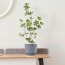 6 Inch Plant Pots Bulk, 6 Pack Plastic Planters with Drainage Holes and Saucers for Indoor Outdoor House Plants and Flowers, Grey Spots by GreenHaven Gardens