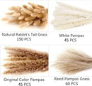 300 PCS Dried Flower Bouquet – Pampas Grass, Floral Decor for Home, Wedding, and Boho Style | Perfect for Vases, Fall, Spring, Summer, and Winter Arrangements by CozyNest Decor