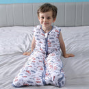 Toddler Sleep Sack, 70% Rayon from Bamboo and 30% Cotton Baby Wearable Blanket Winter 2.5 TOG Sleeping Sacks Warm Car(2-4T) by TinyTreasures Baby Boutique