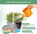QCQHDU 2 Pack Hanging Planters for Indoor Plants, Outdoor Hanging Baskets, Self Watering Pots with Drainage Holes & Removable Tray (Light Grey, 10 inch, Macrame Hanger) by GreenHaven Gardens