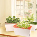 OurWarm Windowsill Herb Planter Box Indoor Set of 3, 10.5 Inch Self Watering Planter Pots with Visual Water Level Window, Modern Plastic Plant Pots for Herbs, Vegetables, Succulents Plants by GreenHaven Gardens