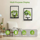 Picture Frame Wall Plant Holder, Metal Window Plant Shelves Plant Holder for Indoor Plants, Hanging Wall Planters Wall-Mounted Plant for Home, Office, and Garden (Black, 2PCS) by GreenHaven Gardens