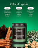 M&SENSE Celestial Cypress Scented Soy Jar Candles, Best Smelling Cedarwood Cardamom Scented Candles 7.05oz 50 Hour Long Lasting Burn, Non Toxic Natural Woody Scent Gifts for Men Women by CozyNest Decor