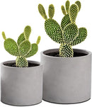 Ekirlin Planters for Indoor Plants, 3.5/4 Inch Plant Pots with Drainage Holes, Removable Rubber Stopper, Non-Slip Soft Pad - Grey Cement Concrete Planter for Most Indoor Outdoor Plants and Flowers by GreenHaven Gardens