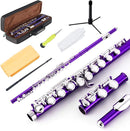 EASTROCK Closed Hole Flutes C 16 Key for Beginner, Kids, Student -Nickel Flute with Case Stand and Cleaning kit (Purple) by TinyTreasures Baby Boutique