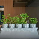 SCANDINORDICA Galvanized Metal Herb Planter, 5 Pots with Drainage Holes, Indoor Outdoor Use, Farmhouse Decor, 19.5x3.9x3.5 inches by GreenHaven Gardens