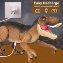 Remote Control Dinosaur Toys for Boys 3 4-7 8-12- RC Realistic Big T-Rex Gifts for Kids, Interactive Dino with Light Roar Spray Touch Sensing by TinyTreasures Baby Boutique