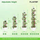 2 Pack Garden Obelisk Trellis with Solar Light, 6 Ft Trellis for Climbing Plants Outdoor Rose Bush Round Trellis for Pots, Rustproof PE Coated Metal Plant Support for Flowers Vine Indoor