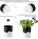 Nihow Self Watering Plant Pot: 6 Inch Ceramic Planter with Drainage Hole & Water Storage Plus for Indoor & Outdoor Plants - Cylinder Round Flower Pot for Succulent/Herbs/Violets - Black & Wave White by GreenHaven Gardens