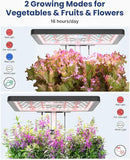 iDOO Hydroponics Growing System Kit 12Pods, Gardening Gifts for Women Mom, Indoor Herb Garden with LED Grow Light, Built-in Fan, Auto-Timer, Adjustable Height Up to 11.3", 12Pods-Black by GreenHaven Gardens