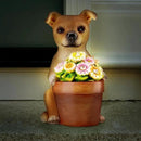 Muldale Solar Dog Statues Outdoor - Solar Powered Outdoor Dog Garden Statue - Hand Painted Floral Plant Pot Light Up by GreenHaven Gardens