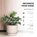 Elly Décor 8 inch Plastic Cylinder Planter Pot with Self-Watering Saucer and Drainage Hole,Lightweight & Extremely Durable, 8"x 8", Ivory by CozyNest Decor