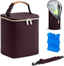 BreastMilk Cooler with Ice Packs and Tote Bags for Nursing, Large Capacity, Waterproof, Fits 9 Baby Bottles Up to 11 oz, Dark Brown by TinyTreasures Baby Boutique