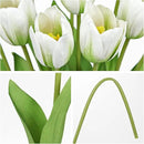 Artificial Tulips Flowers – 20" Long Stem Faux Tulips, 10PCS Real Touch Fake White Tulip for Vase, Farmhouse, Kitchen, Spring & Wedding Home Decor by CozyNest Decor
