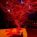 Dazzle Bright 300 LED Christmas String Lights, 100 FT Connectable Waterproof String Lights Green Wire with 8 Modes Christmas Decoration for Indoor Outdoor Party Yard Garden Decor (Red) by CozyNest Decor