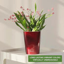 Dexceder 6x7 Self Watering Planter Indoor Outdoor, High Gloss Table Flower Plant Pot with Water Level Indicator (Wine Red) by CozyNest Decor