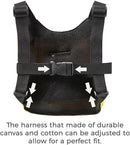 PandaEar 3 in 1 Toddler Harness Leashes + Anti Lost Wrist Link, Kids Bee Safety Backpack Harness with Children Leashes, Child Anti Lost Leash for Girls Boys Outdoor by TinyTreasures Baby Boutique