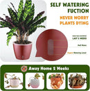 Self Watering Pots for Indoor Plants, 4-Pack 6.7'' Self Watering Planter with Drainage Holes, Small African Violet Pots with Water Indicator, Clear Wick Orchid Pot, Rose Gold by CozyNest Decor