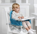 Regalo My Chair 2-in-1 Portable Travel Booster Seat & Activity Chair, Bonus Kit Includes, Oversized Removable Tray with Cup Holder, Aqua by TinyTreasures Baby Boutique