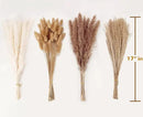 Dried Pampas Grass Decor, 100 Stems Pampas Grass Contains Bunny Tails Dried Flowers, Reed Grass Bouquet for Wedding Boho Flowers Home Table Decor, Rustic Farmhouse Party (17", White and Brown) by CozyNest Decor