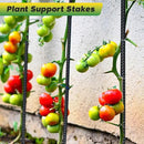24 inches Straight Rebar Stakes 18-Pack Ground Stake Heavy Duty Metal Steel Spikes for Gardening, Concrete Forming and Camping Tent by CozyNest Decor
