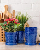 Ceramic Plant Pots –5 inch Indoor Flower Pot with Drainage Hole and Ceramic Tray - Gardening Home Desktop Office Windowsill Decoration Gift, Set of 4-Plants NOT Included(Blue) by GreenHaven Gardens