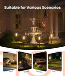 Solar Pathway Lights Outdoor Warm White 8-Pack Waterproof IP65, Auto On/Off Solar Powered Walkway Lighting for Driveway Yard Garden, Upgraded Landscape Lights Outside by GreenHaven Gardens