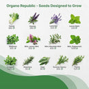 25 Most Popular Herb Seeds Variety Pack - 11,700 Non-GMO Heirloom Seeds for Planting Herbs in Individual Seed Packets for Hydroponic, Indoor & Outdoor Gardening by GreenHaven Gardens