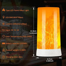 Bestview LED Flame Lights with Remote & Timer,4 Modes USB Rechargeable Battery Operated Fire Flickering Flameless Candles Campfire Table Lamp for Halloween,Christmas,Indoor&Outdoor Decoration (2 Pack) by GreenHaven Gardens