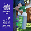 Commercial Grade Lawn Fertilizer with Iron- Liquid Fertilizer Spray- Nitrogen and Iron for Deeper Green Turf- Any Grass Type - Simple Lawn Solutions - Lawn Energizer - 32 Ounce by GreenHaven Gardens