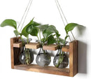Plant Propagation Station Plant Terrarium Unique Birthday Gifts for Women Plant Lovers Home Office Decor Planter with Wooden Stand - 3 Bulb Glass Vase by GreenHaven Gardens
