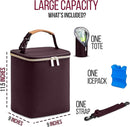 BreastMilk Cooler with Ice Packs and Tote Bags for Nursing, Large Capacity, Waterproof, Fits 9 Baby Bottles Up to 11 oz, Dark Brown by TinyTreasures Baby Boutique