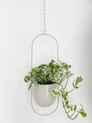 Boho Beige Metal Plant Hanger,Metal Wall and Ceiling Hanging Planter, Modern Planter, Mid Century Flower Pot Plant Holder, Minimalist Planter for Indoor Outdoor Home Decor by GreenHaven Gardens