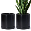 D'vine Dev Set of 2 Plants Pots, 8 Inch Ceramic Planter Pot for Plants with Drainage Hole and Saucer, Black, 94-V-D-2 by GreenHaven Gardens