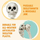 JOYIN 6.9 FT Halloween Skeleton Posable Plastic Full Body Realistic Human Bones with Movable Joints for Indoor Outdoor Halloween Props Spooky Scene Party Decorations（White, No Screwdriver） by GreenHaven Gardens