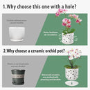 EFISPSS Orchid Pots with Holes, 7 Inch Orchid Pots with Drainage Holes and Tray, Indoor or Outdoor Ceramic Flower Pot for Orchid Care, Promoting Air Circulation and Drainage Plant Pot - White by GreenHaven Gardens
